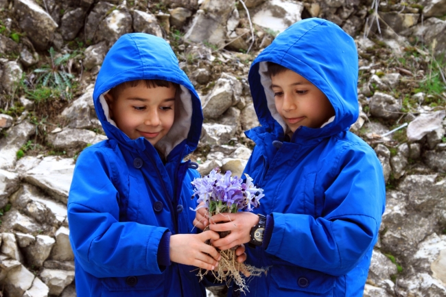 Nevruz çiçekleri baharı erken müjdeledi